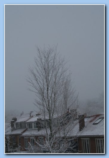Arnhem Snow 086